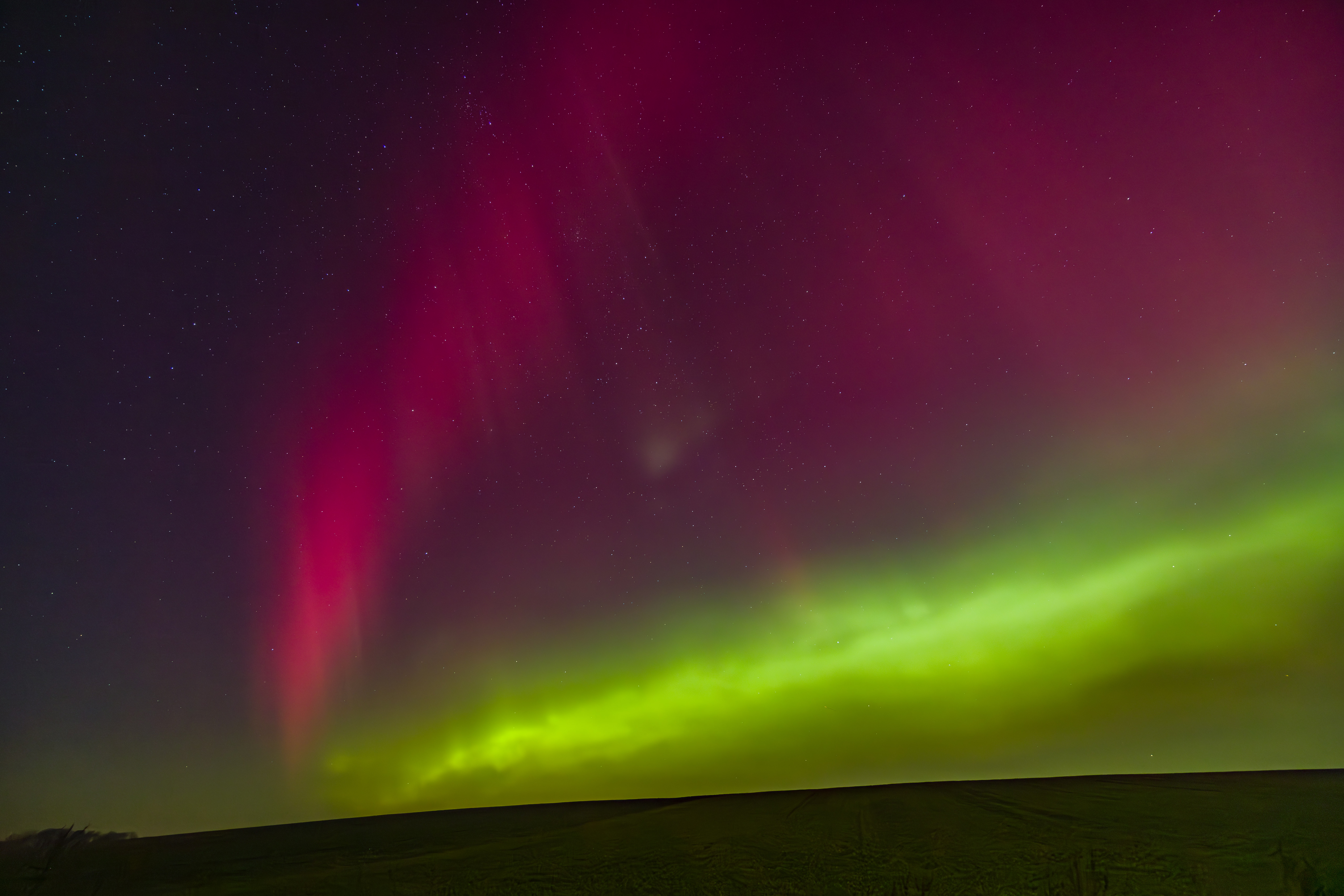 GMR52073 20260119 221206 14 mm 3.2 Sek. bei f   4,0 ISO 3200